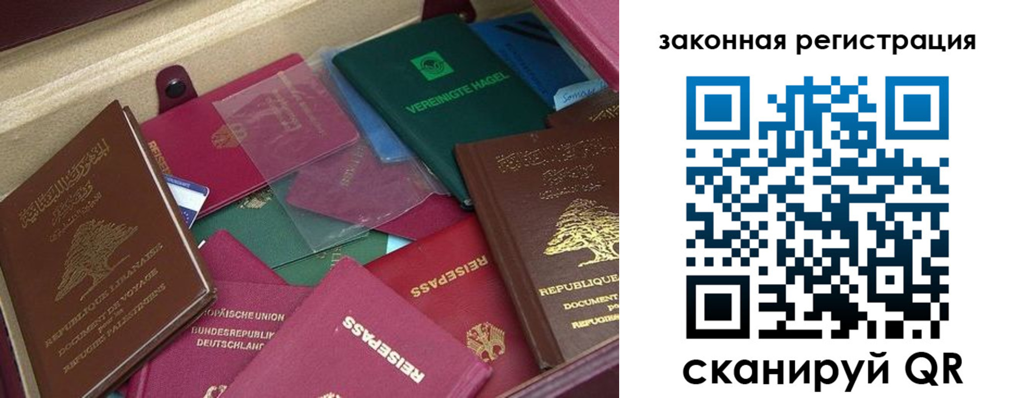 купить прописку в Мариинском Посаде